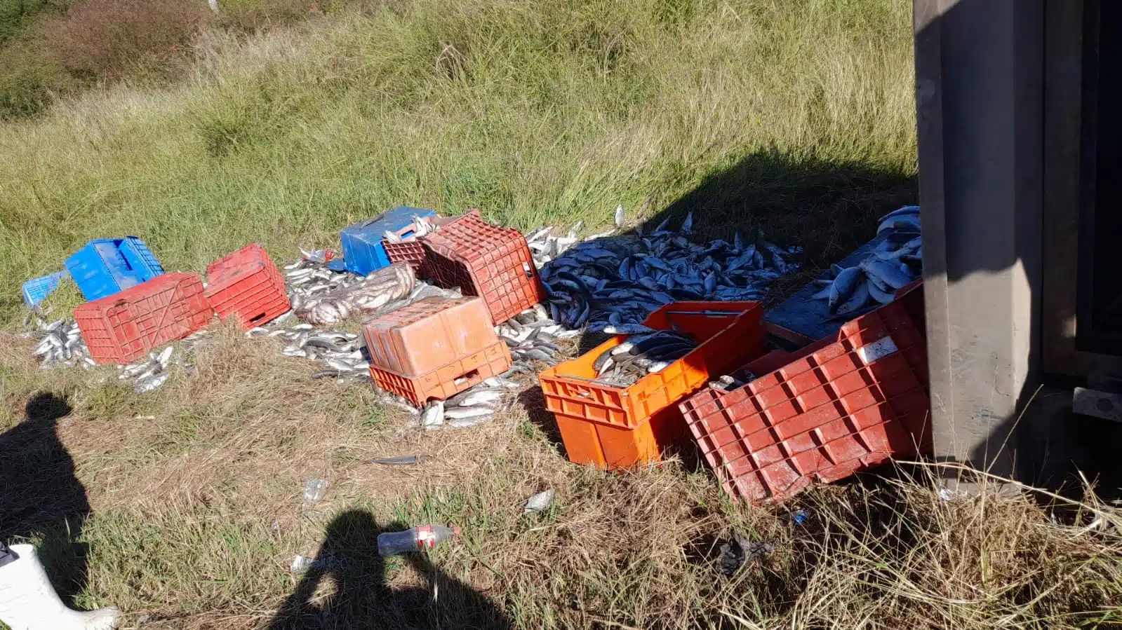 Le truena una llanta y camioneta refrigerada vuelca en Mazatlán